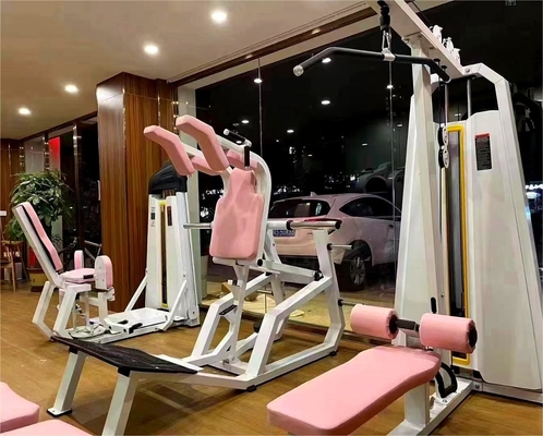 Máquina de tração de aço para peito ombro traseiro Exercício de braços 2.3*1*2.4 Medium Loader