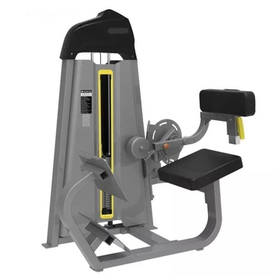 Máquina de Extensão das costas Equipamento de fitness para treino de ginástica e exercícios de musculação