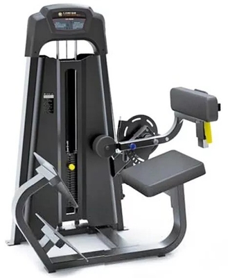 Máquina de Extensão das costas Equipamento de fitness para treino de ginástica e exercícios de musculação