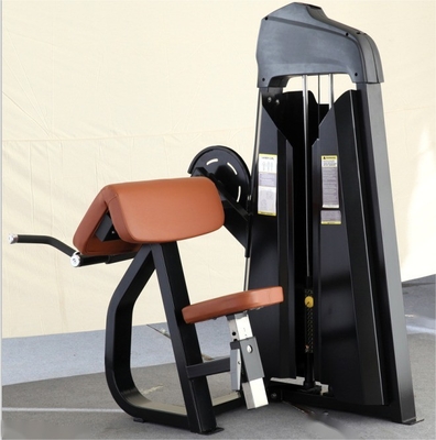 Opcional Selecionável Befreeman Popular Comércio Fitness Equipamento de Aço Assentado Camber Curl Medium Loader