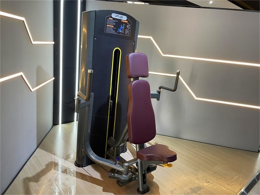 Equipamento de ginástica comercial Pin carregado Peito Fly Pec Fly Machine para exercício doméstico comercial