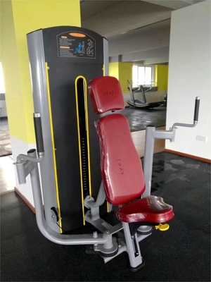 Equipamento de ginástica comercial Pin carregado Peito Fly Pec Fly Machine para exercício doméstico comercial