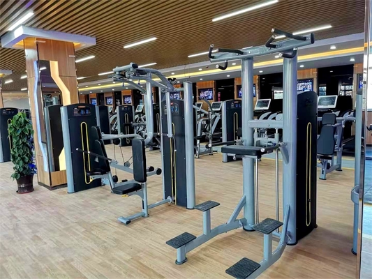 Equipamento de ginástica comercial Pin carregado Peito Fly Pec Fly Machine para exercício doméstico comercial