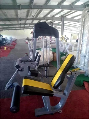 Máquina de enrolar pernas sentada de aço para treinamento de ginástica