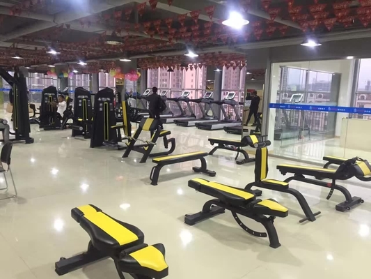 Exercício físico Corpo ajustável Máquina de extensão de costas Treinador abdominal carregado com alfinete