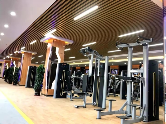 Equipamento de ginástica comercial carregador médio abdominal oblíquo estilo de cruzamento torso rotativo