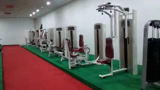 Equipamento de ginástica comercial Máquina de exercício de costas ajustável com 1500*1200*1750 mm de tamanho