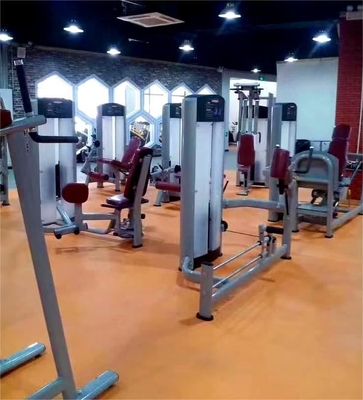 Logotipo Personalizado Logotipo Disponível Máquina de Glute Kickback para Centros Comerciais de Fitness