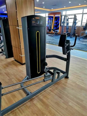 Logotipo Personalizado Logotipo Disponível Máquina de Glute Kickback para Centros Comerciais de Fitness