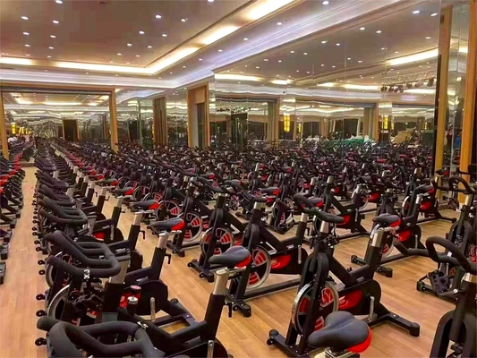 Equipamento de ginástica Flywheel de 18 kg para treino cardiovascular comercial e fortalecimento corporal