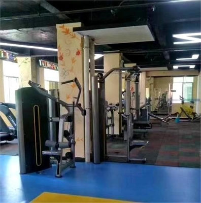 Construção de aço Equipamento de ginástica comercial Máquinas de selecção de carga por pinos