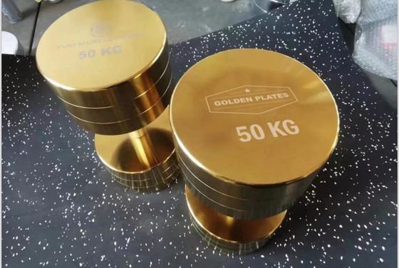 Experimente o poder dos nossos halteres cromados para treinamento de força 2,5kg-100kg