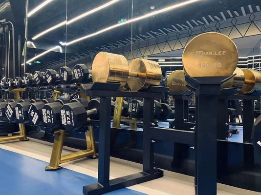 Experimente o poder dos nossos halteres cromados para treinamento de força 2,5kg-100kg