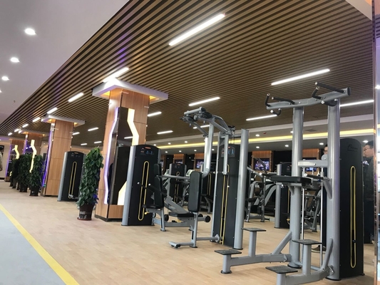 Multifunção Smith e Squat Rack para exercícios de ginástica com seleção de peso ajustável