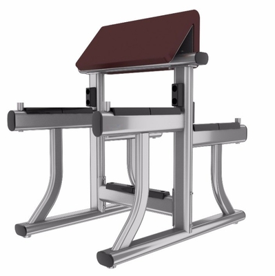 Banco de enrolamento de braço de aço para Biceps Curl Gym Equipamento 1170*800*1080 mm