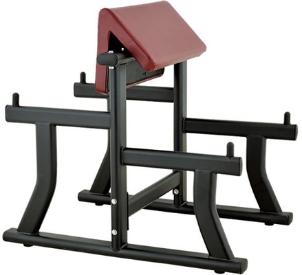 Banco de enrolamento de braço de aço para Biceps Curl Gym Equipamento 1170*800*1080 mm