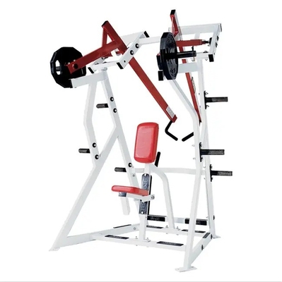 Maximize o seu treino com o D.Y. Row Deltoids de Treinamento de Força nas costas