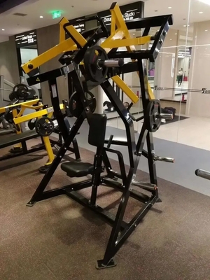 Maximize o seu treino com o D.Y. Row Deltoids de Treinamento de Força nas costas