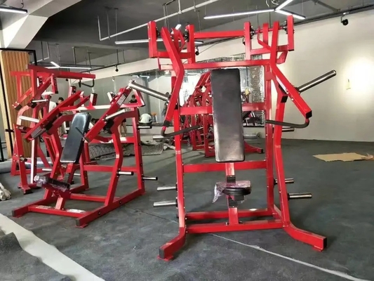 Maximize o seu treino com o D.Y. Row Deltoids de Treinamento de Força nas costas