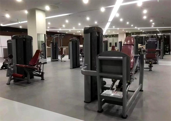 Máquina de pressão de pernas sentada com pesos de seleção de carga de alfinete