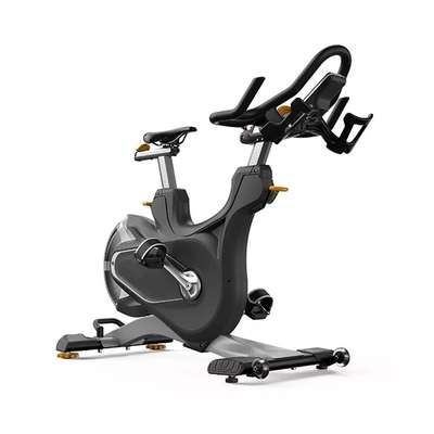 Revestimento em pó eletrostático de duas camadas Ciclismo interior Bicicleta giratória com resistência magnética