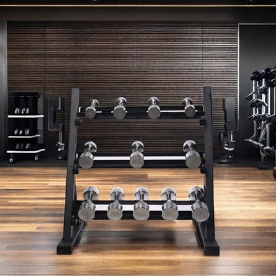 Tamanho de cartão 1230*460*120mm Cadeiras de peso livre para fitness comercial