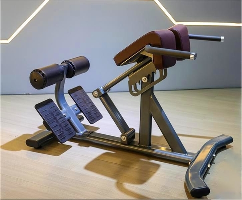 Estilo Luxury Fitness Equipamento para Exercícios de costas Cadeira romana de extensão de costas ajustável