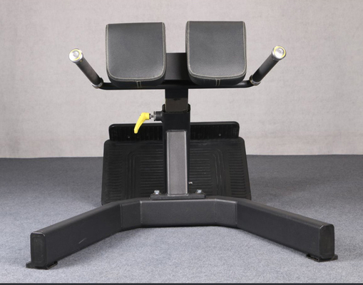 Gym Fitness 45 graus Máquina de Extensão das costas Cadeira romana Banco de ginástica Unisex Gênero Unisex