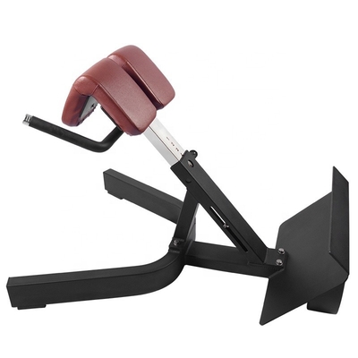 Treinamento de Força Multifuncional Braço Curl Back Extension Bench Cadeira Romana para Unisex