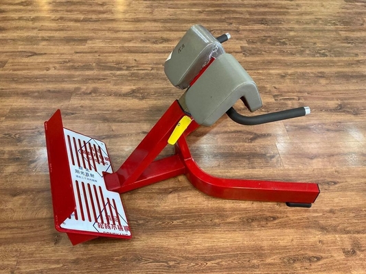 Treinamento de Força Multifuncional Braço Curl Back Extension Bench Cadeira Romana para Unisex