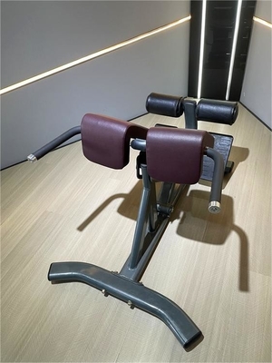 Gym Fitness 45 graus Máquina de extensão de costas com cor de quadro selecionável opcional