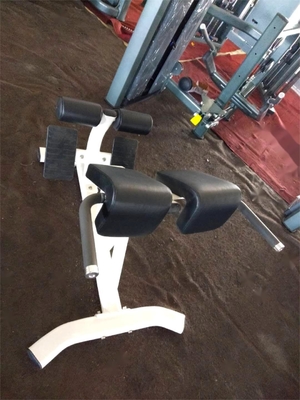 Gym Fitness 45 graus Máquina de extensão de costas com cor de quadro selecionável opcional