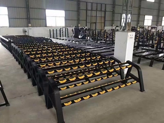 Empilhadeira de peso 20,6 kg de halteres para centro de ginástica Grátis 2 camadas de halteres