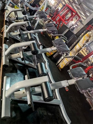 Gym Fitness 45 graus Máquina de extensão de costas com cor de quadro selecionável opcional