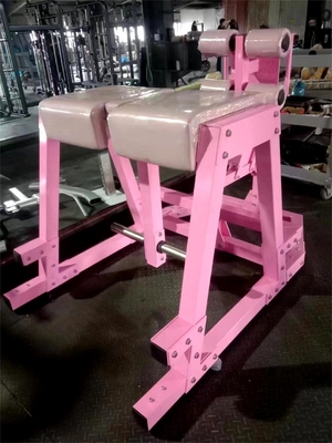 Q235 Treinamento de glúteos com placa de carga Reverso Hyper para treinamento muscular em ginásio comercial