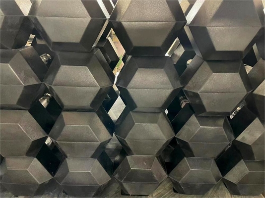 Manobras revestidas com borracha hexadecromática para equipamentos de ginástica em casa 2,5 kg-50 kg