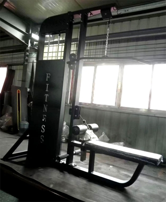 Home Gym 2 em 1 sentado Lat Pulldown Machine com construção de aço de qualidade comercial