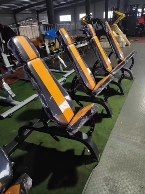 Exercício músculo Befreeman banco super ajustável para equipamentos de fitness comercial ginásio