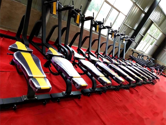 Equipamento de ginástica comercial Banco de peso ajustável com opção de cor do quadro