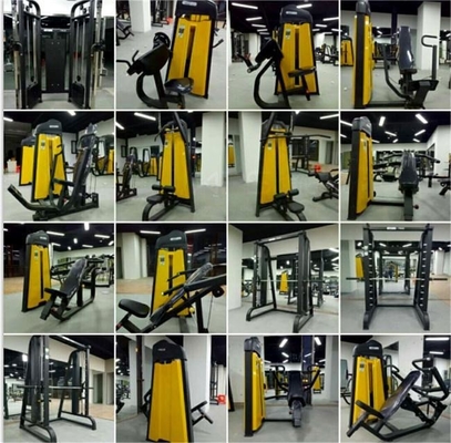 Treinamento de Força Profissional com a Máquina de Extensão de Pernas de Tubos de Aço Q235