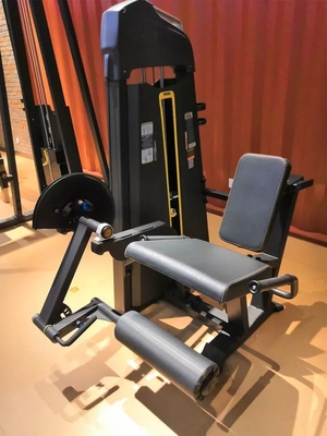 Bodybuilding Fitness Seleção de cargas de alfinete de aço Sento de extensão de perna Curl equipamento de ginástica