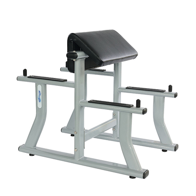 Logotipo personalizado Scott Rack Banco de exercícios para Pullup Rack Scott Setup Plus Heat Squad