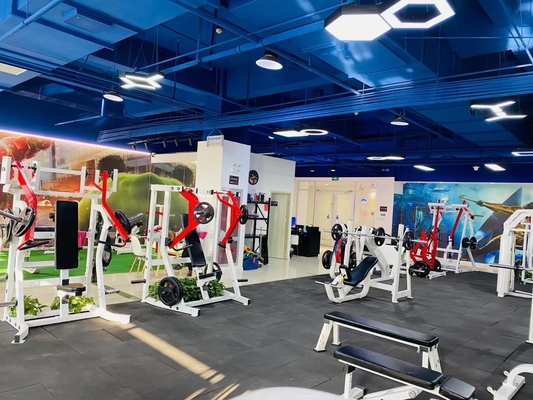 3.0 Espessura do tubo Máquina de pressão lateral do ombro para o equipamento de ginástica comercial