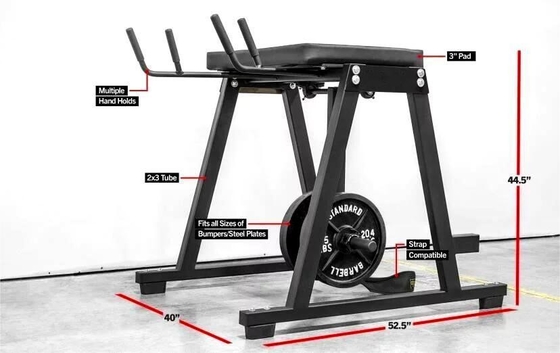 Equipamento de exercícios de músculo e perna personalizado Reverse Hyper Extension Press 2200 * 1500 * 2250mm