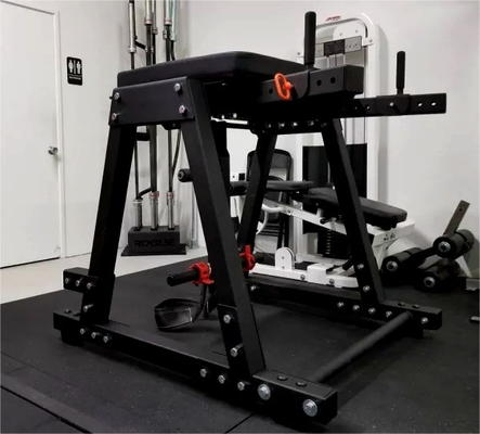 Equipamento de exercícios de músculo e perna personalizado Reverse Hyper Extension Press 2200 * 1500 * 2250mm