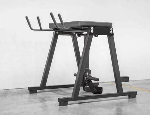 Equipamento de exercícios de músculo e perna personalizado Reverse Hyper Extension Press 2200 * 1500 * 2250mm