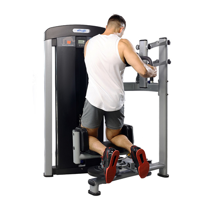 Commercial Gym Fitness Sets Steel Indoor Torso Rotation Machine para o melhor desempenho