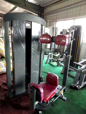 Commercial Gym Fitness Sets Steel Indoor Torso Rotation Machine para o melhor desempenho