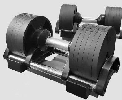 Treinamento de Força Essencial Dumbbell ajustável de Befreeman 36kg para o centro de ginástica