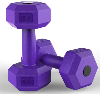 Logotipo personalizado Comércio de treinamento de peso livre Dumbbell Fitness para fisiculturismo
